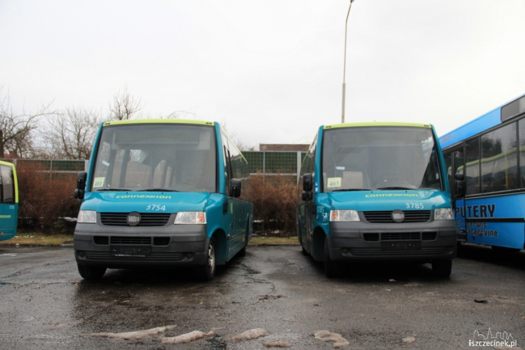 Holenderskie autobusy w Szczecinku