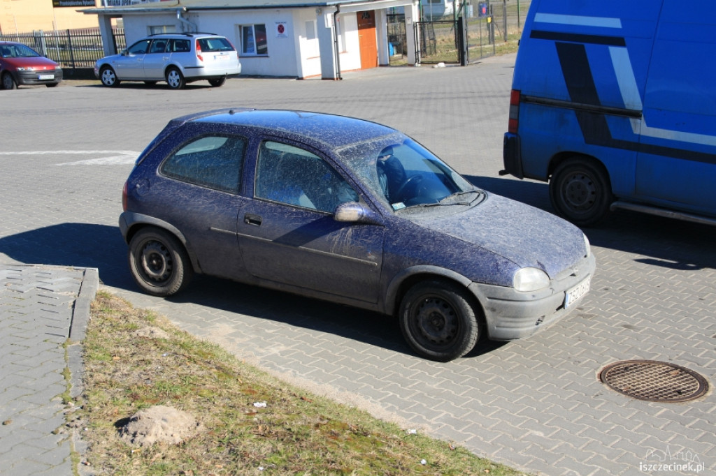 Oblężenie myjni samochodowych