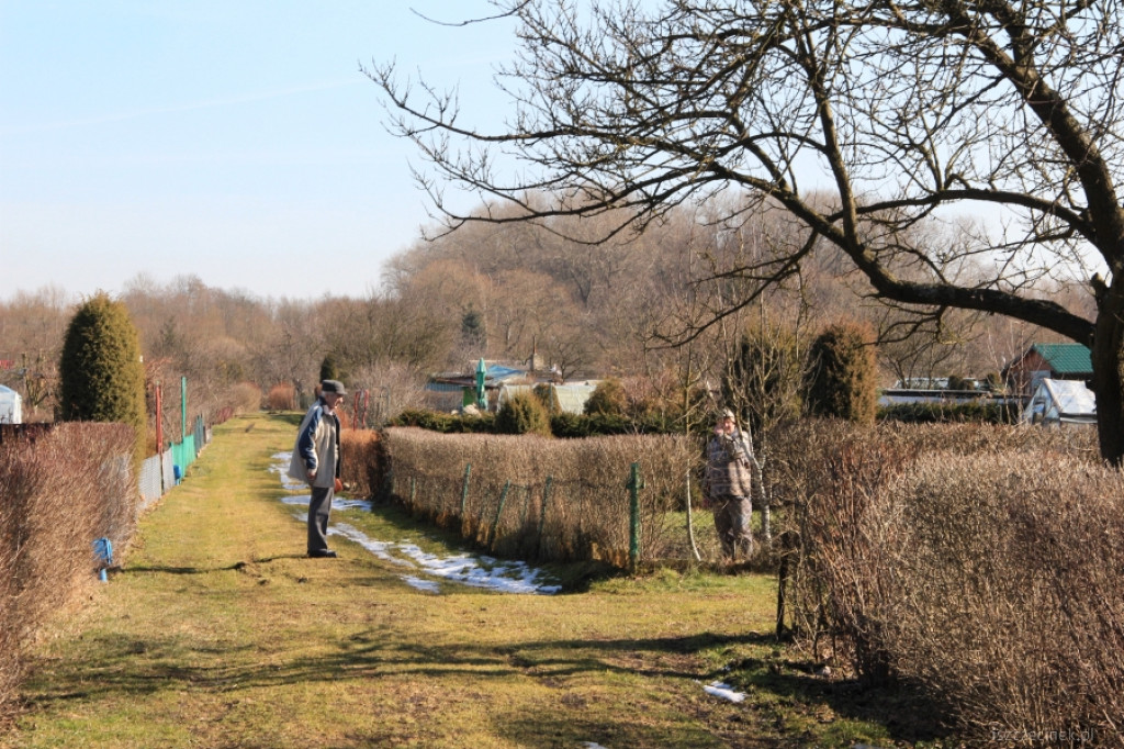Na działkach coraz większy ruch