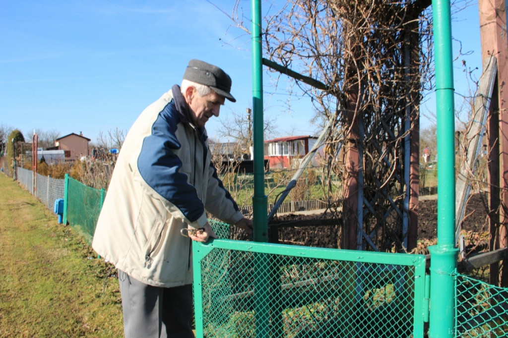 Na działkach coraz większy ruch