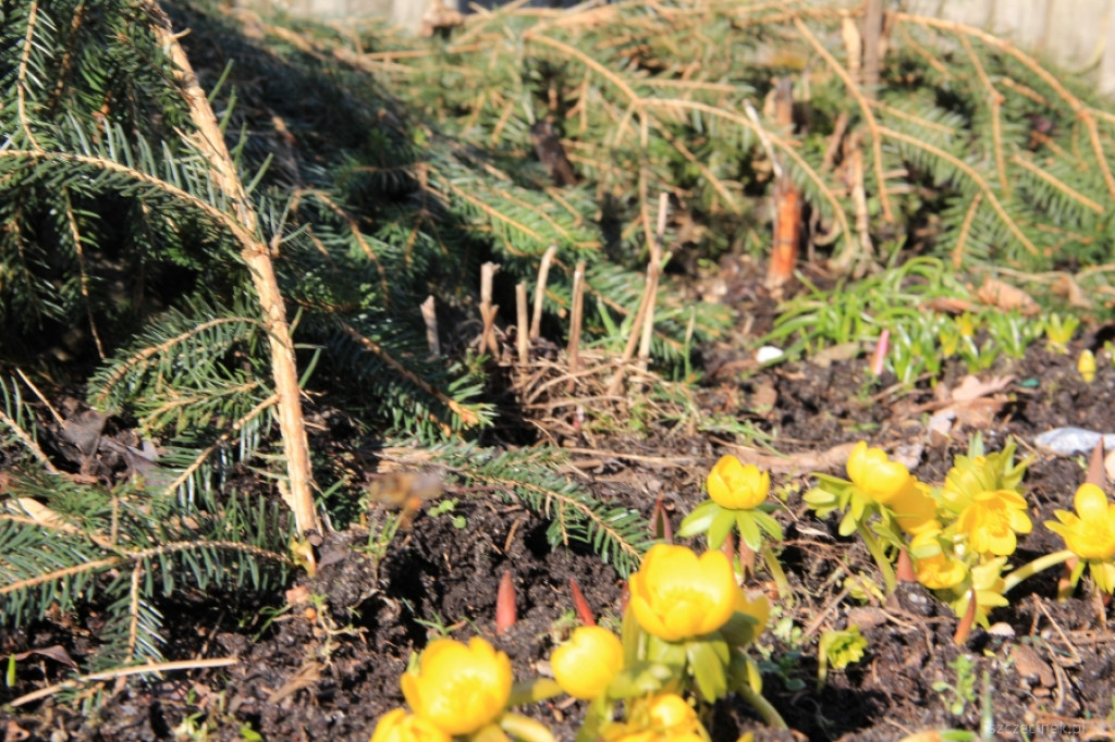 Na działkach coraz większy ruch