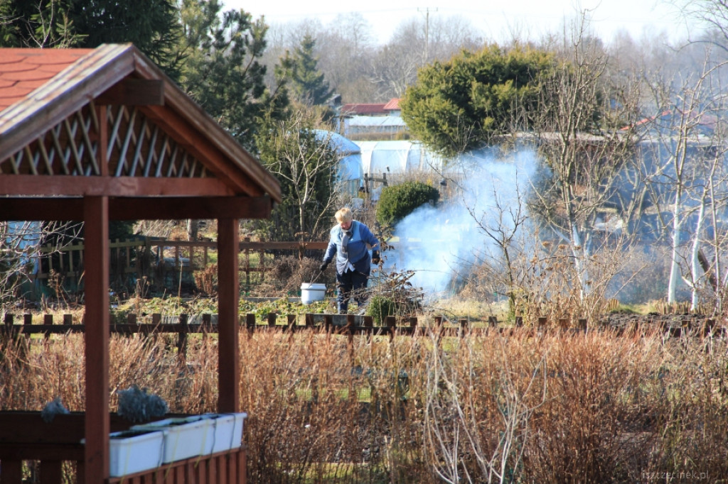 Na działkach coraz większy ruch