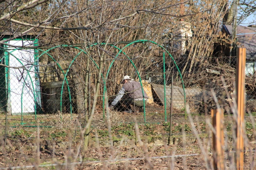 Na działkach coraz większy ruch