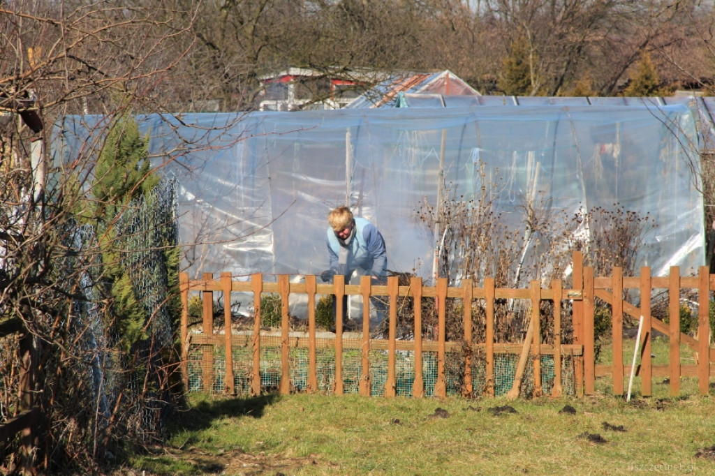 Na działkach coraz większy ruch