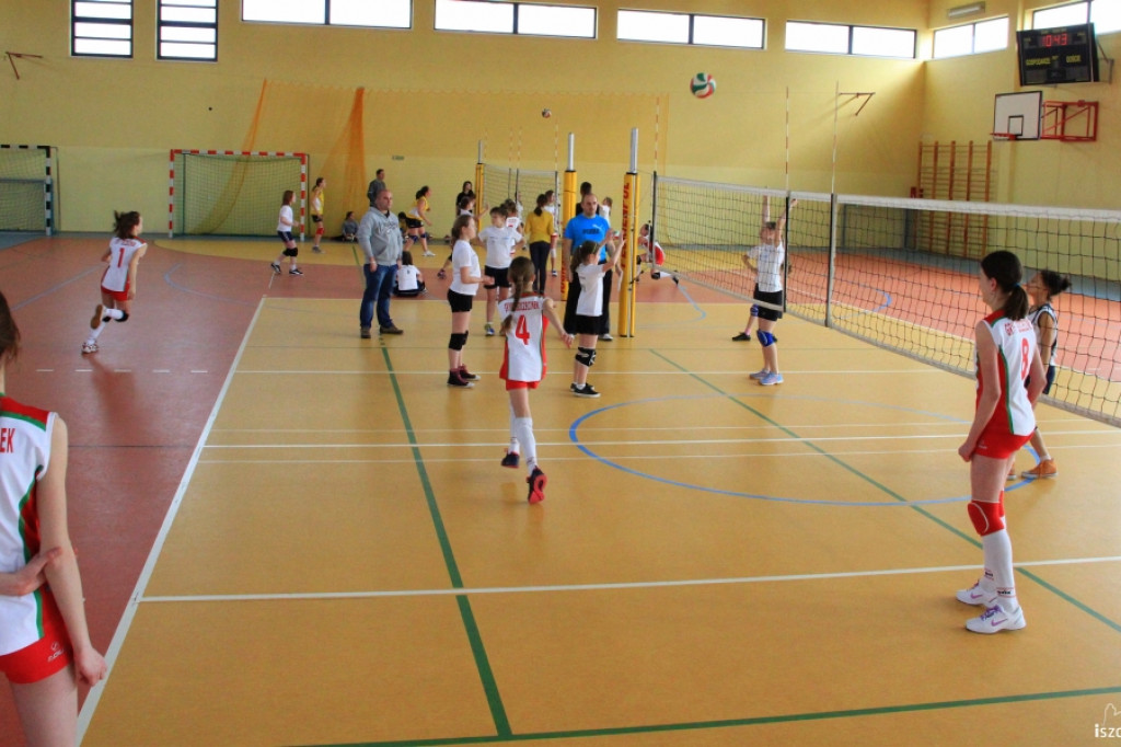 Zachodniopomorskie Mini Volley Cup 2013