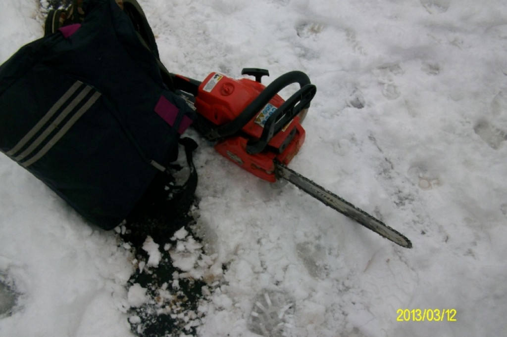 Wycinali drzewa w Strefie Ekonomicznej