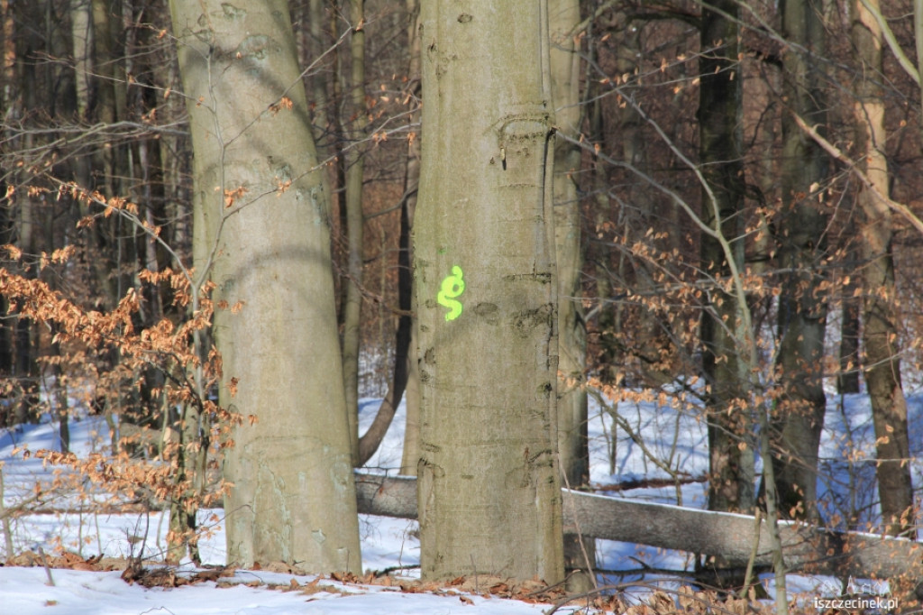 Z Biegiem Natury w Szczecinku