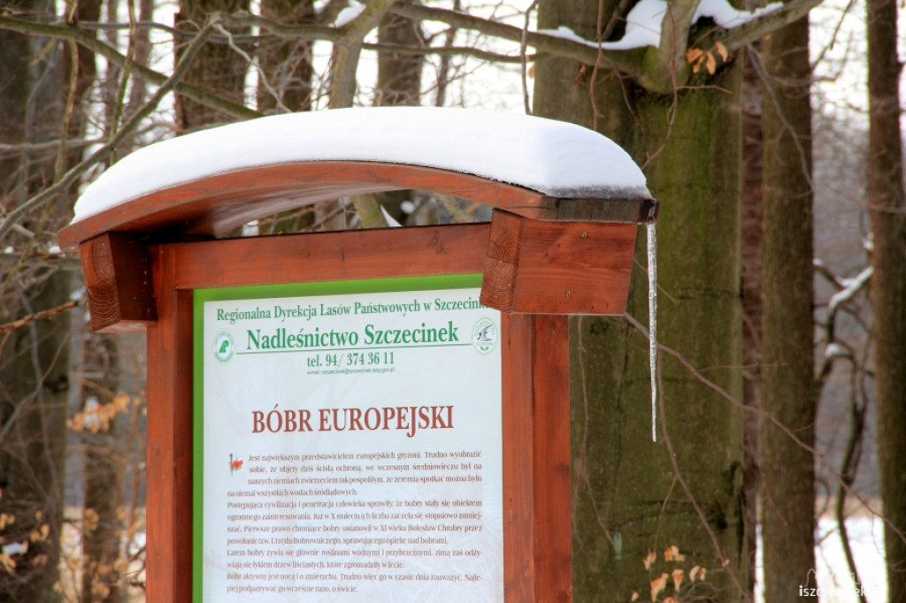 zBiegiemNatury - kolejny trening