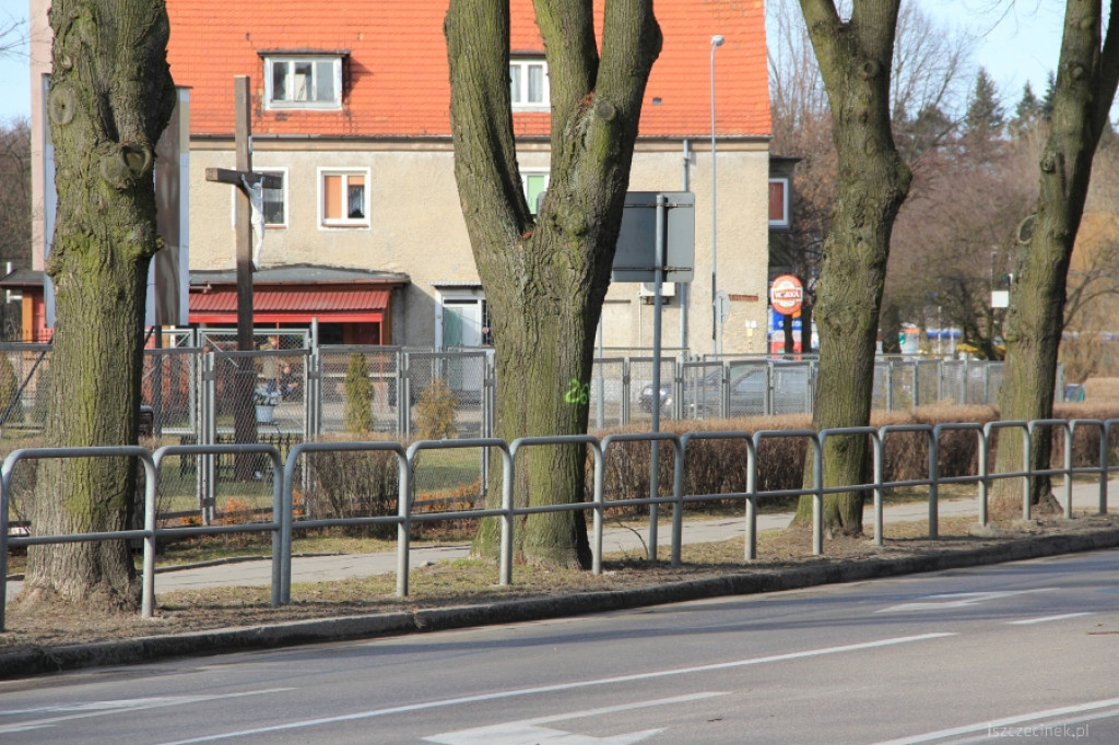 Inwentaryzacja drzew przy drogach krajowych