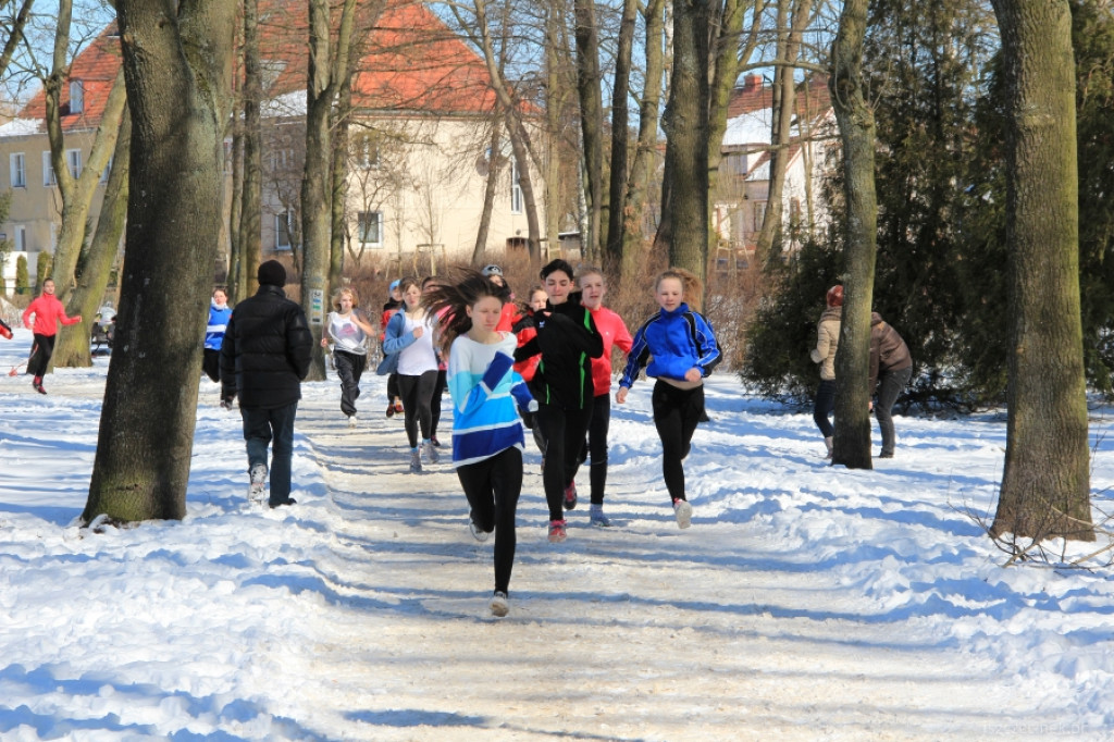 Mistrzostwa Szczecinka w Indywidualnych Biegach Przełajowych