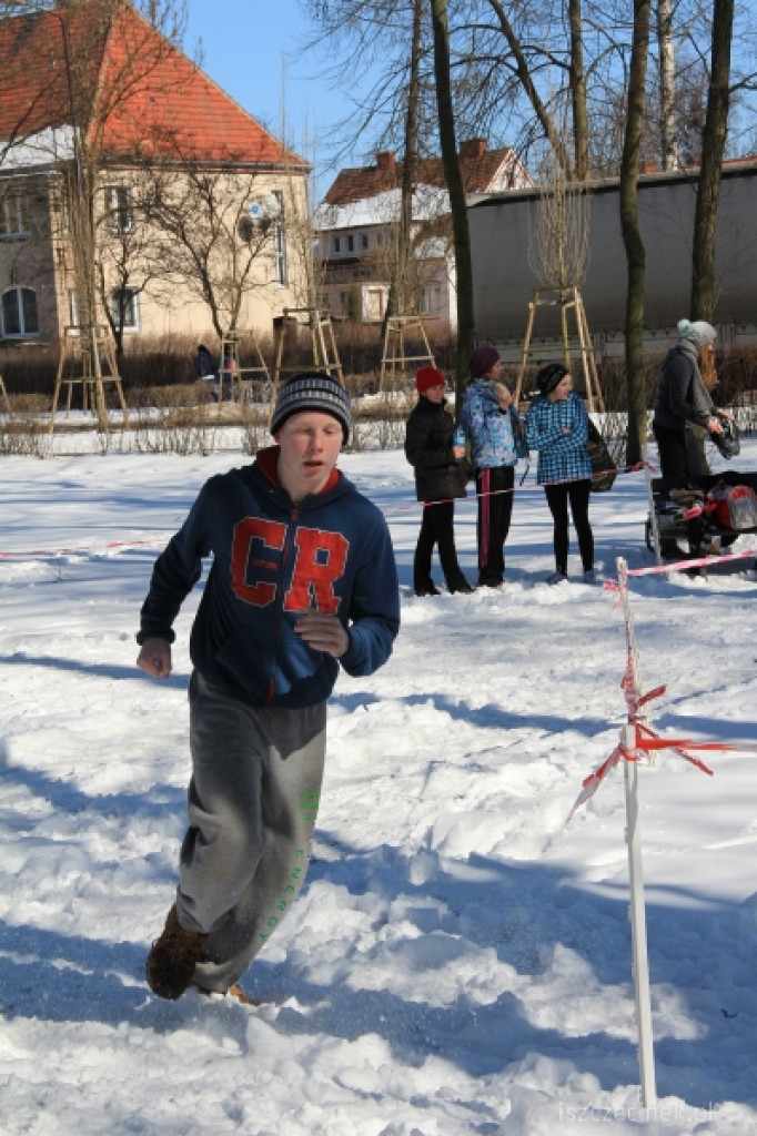 Mistrzostwa Szczecinka w Indywidualnych Biegach Przełajowych