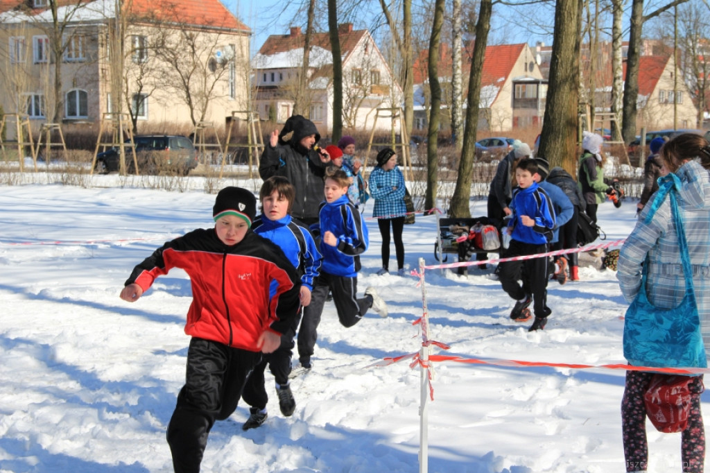 Mistrzostwa Szczecinka w Indywidualnych Biegach Przełajowych