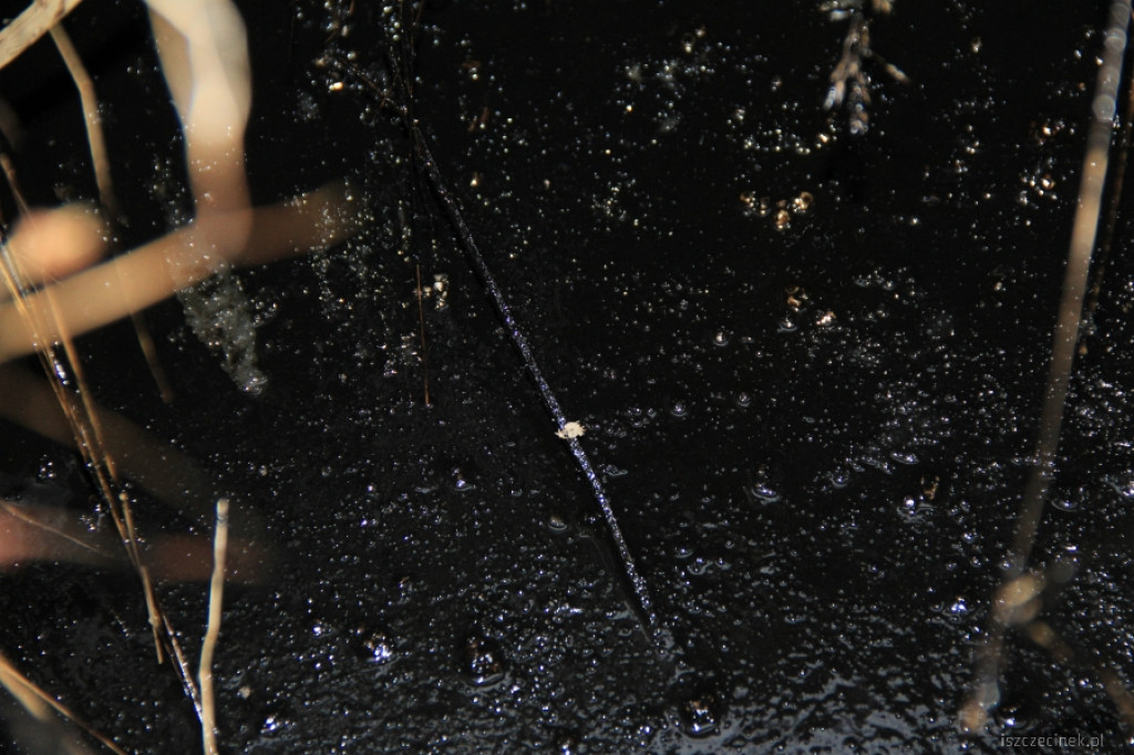 Zbiornik na Waryńskiego