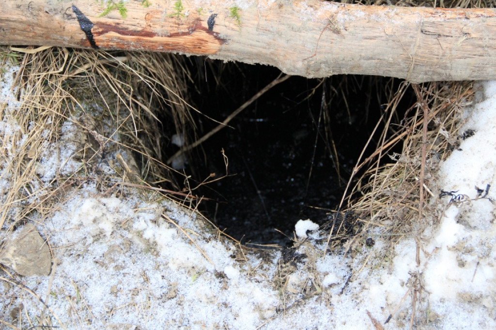 Zbiornik na Waryńskiego