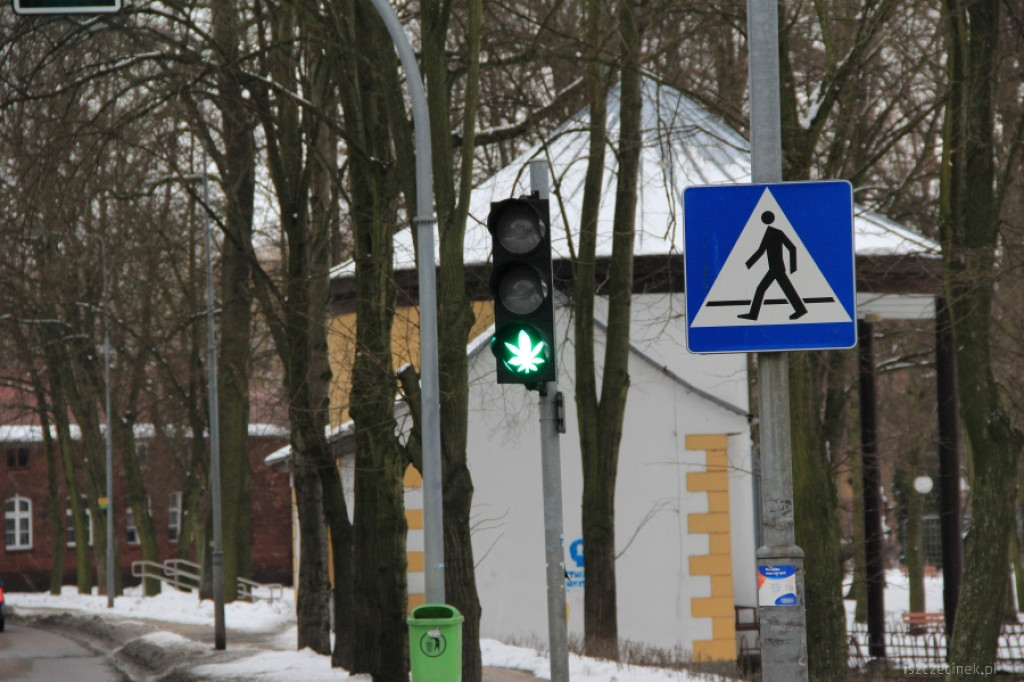 Zielone światło dla konopi w Szczecinku