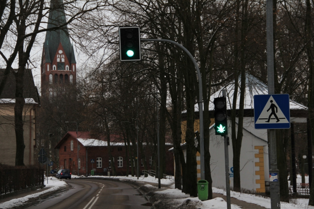 Zielone światło dla konopi w Szczecinku