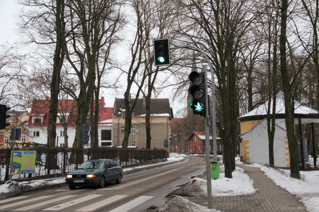 Zielone światło dla konopi w Szczecinku