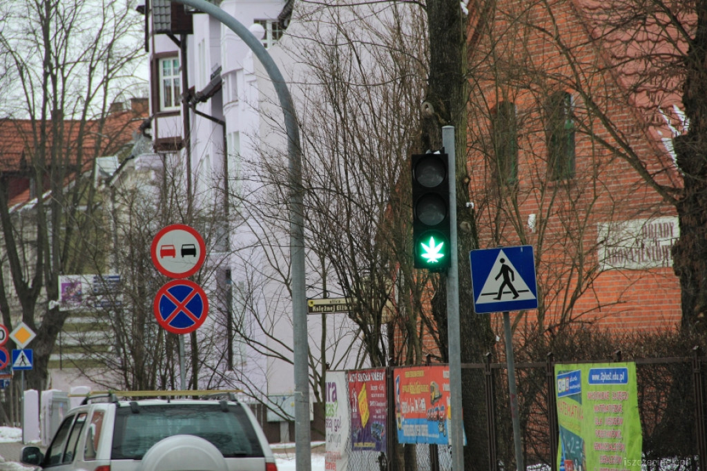 Zielone światło dla konopi w Szczecinku
