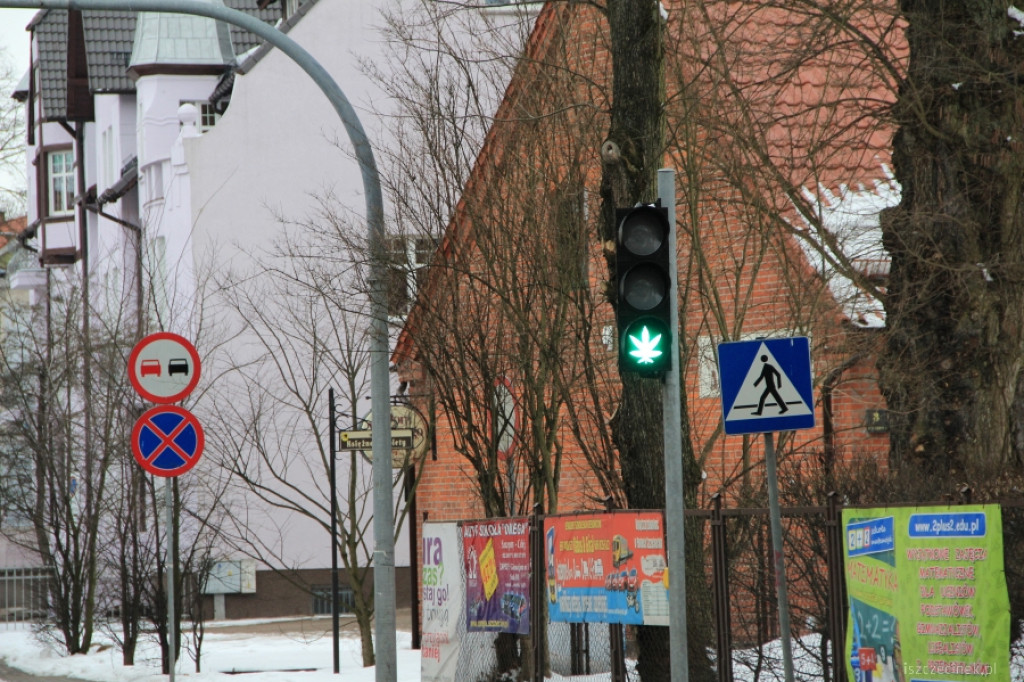 Zielone światło dla konopi w Szczecinku