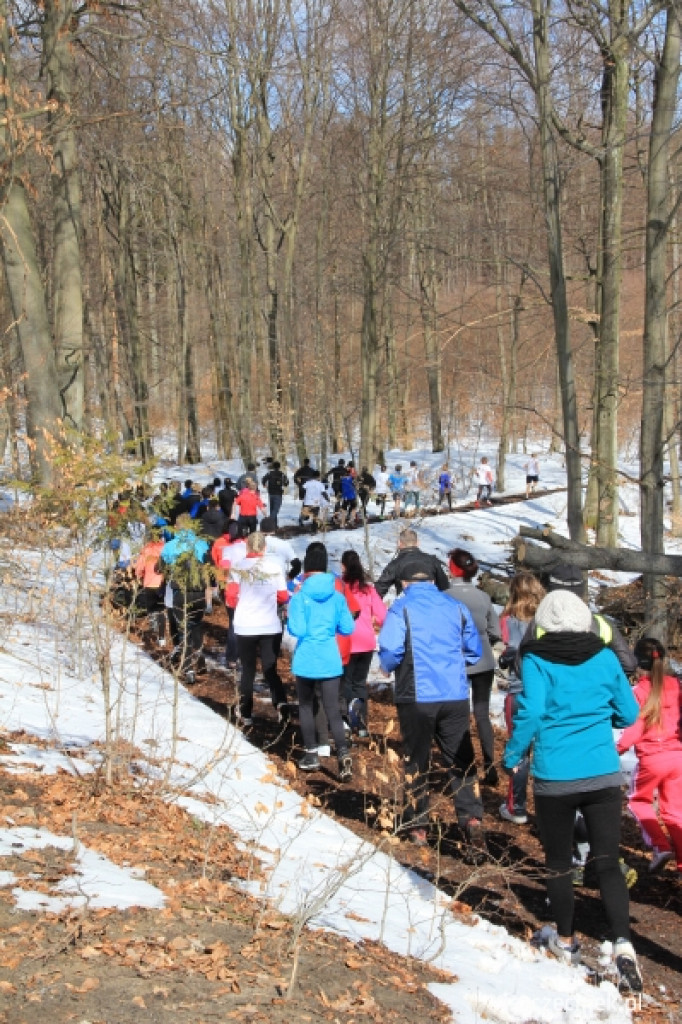 Grand Prix Szczecinka zBiegiemNatury - fotorelacja