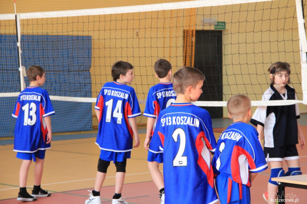 Zachodniopomorski MINI VOLLEY CUP 2013