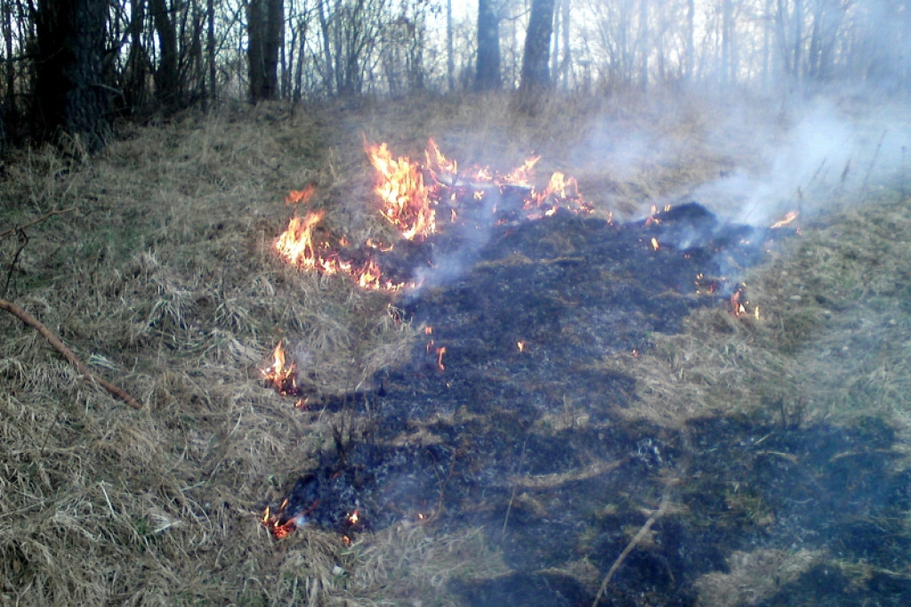 Pożar trawy Gwda Wielka - Godzimierz