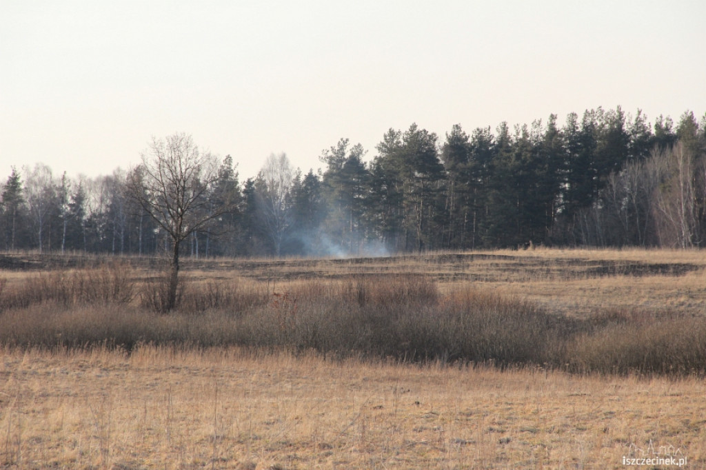 Pożar trawy Gwda Wielka - Godzimierz