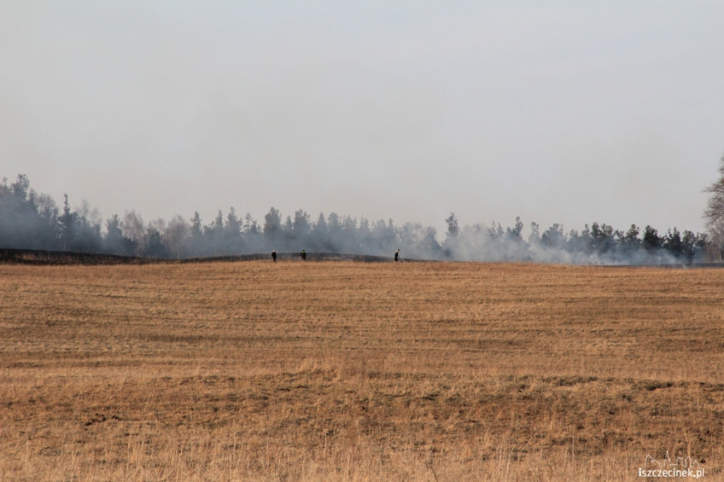 Pożar trawy Gwda Wielka - Godzimierz