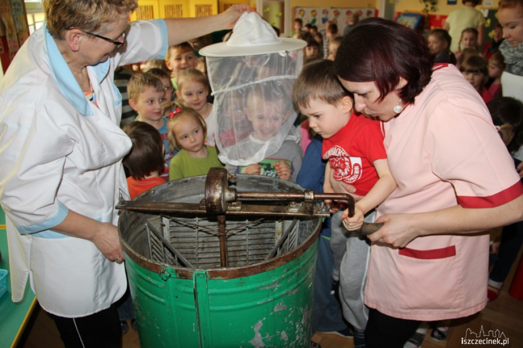 O pszczołach i miodzie w przedszkolu MIŚ