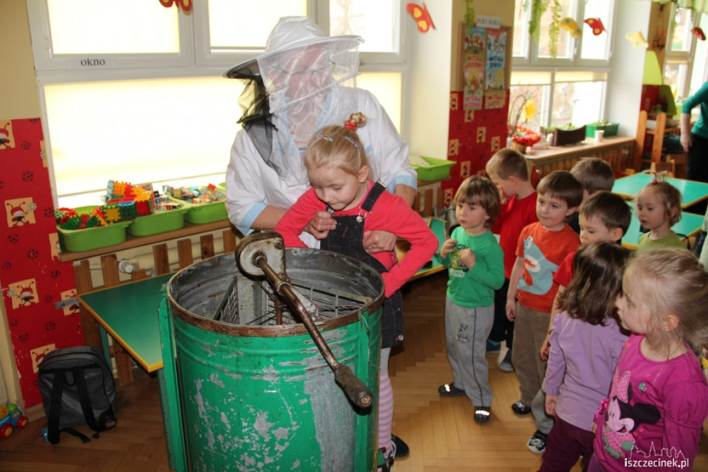 O pszczołach i miodzie w przedszkolu MIŚ