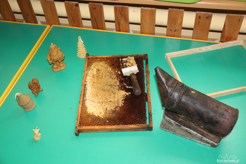 O pszczołach i miodzie w przedszkolu MIŚ