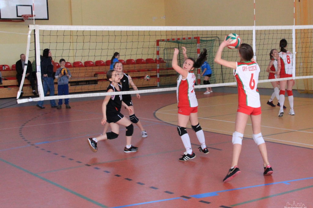 Mini Volley Cup 2013