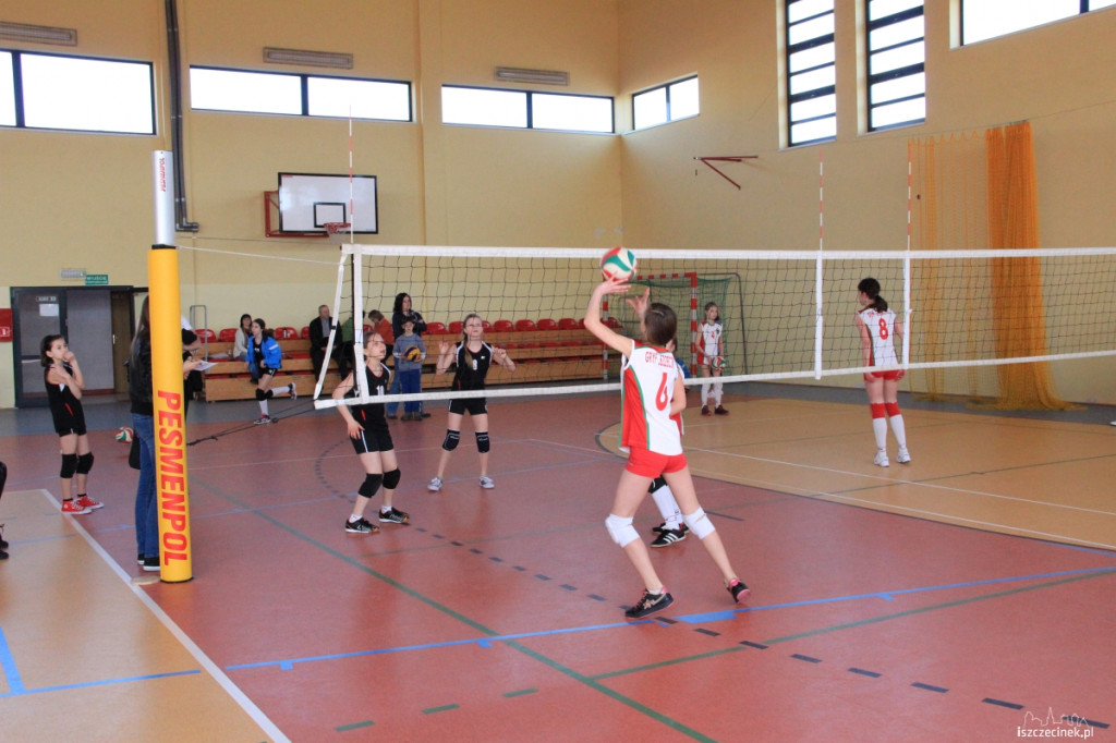 Mini Volley Cup 2013
