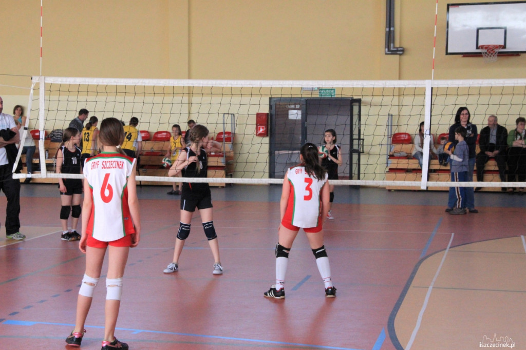 Mini Volley Cup 2013