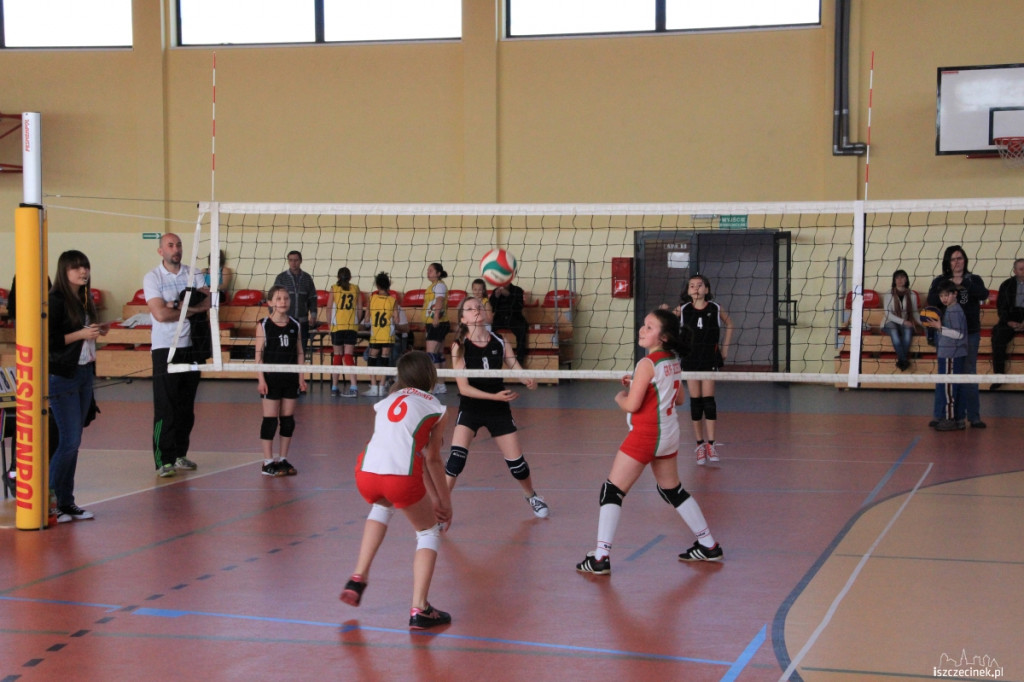 Mini Volley Cup 2013