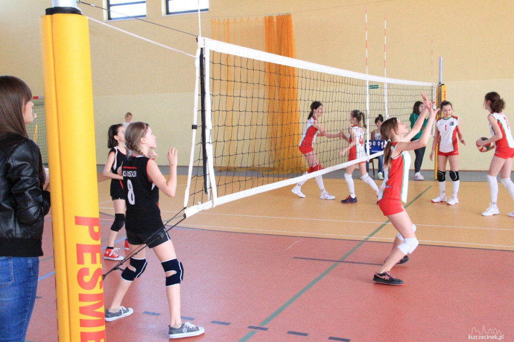 Mini Volley Cup 2013