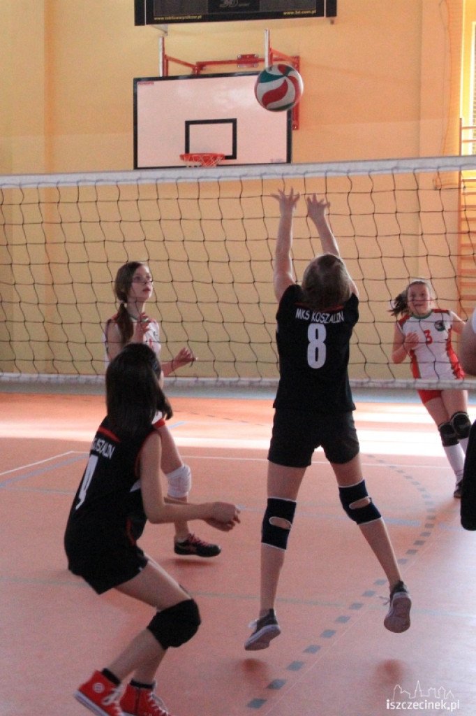 Mini Volley Cup 2013