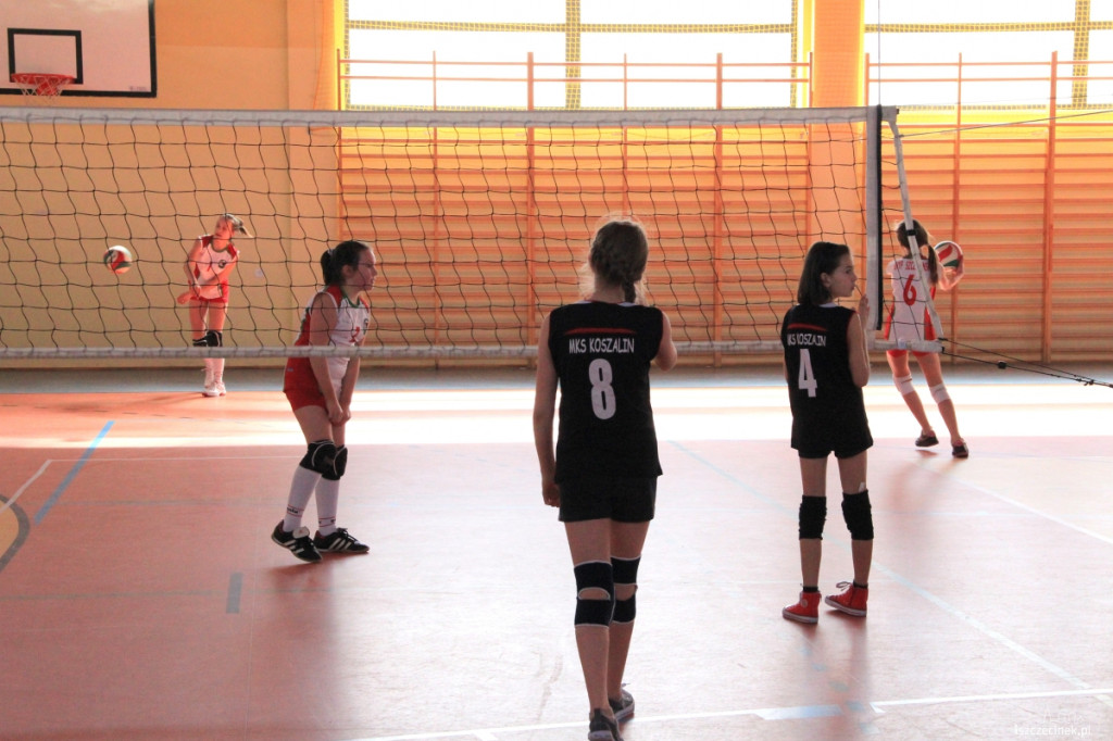 Mini Volley Cup 2013