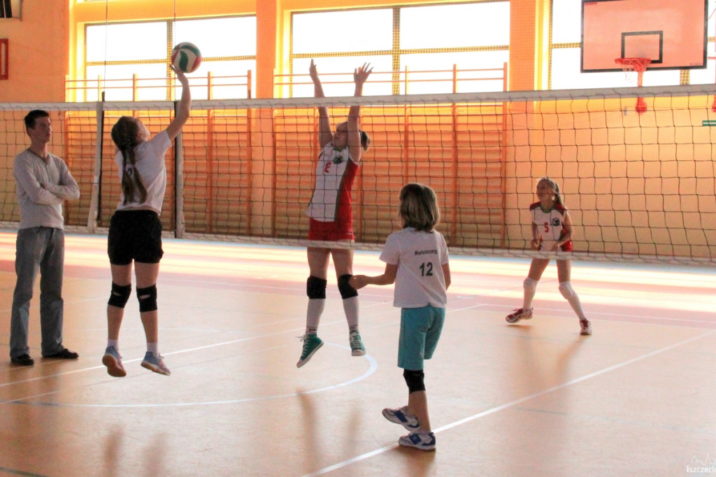 Mini Volley Cup 2013