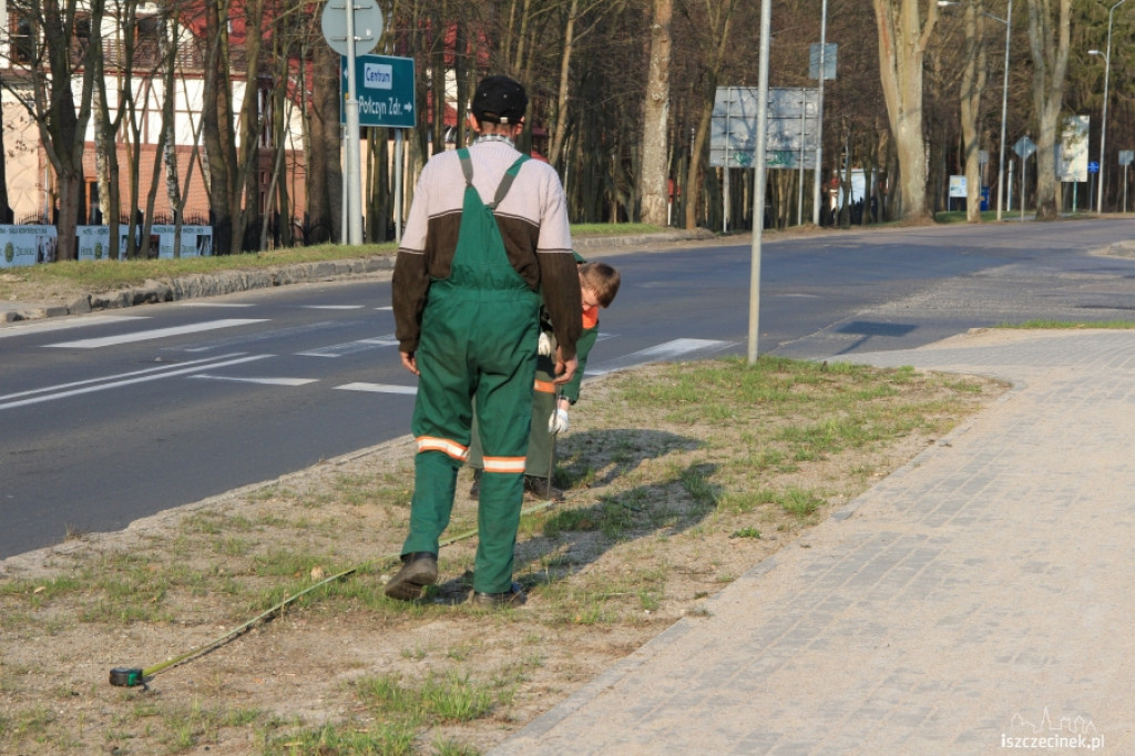 Ruszyła akcja sadzenia drzewek na Kościuszki