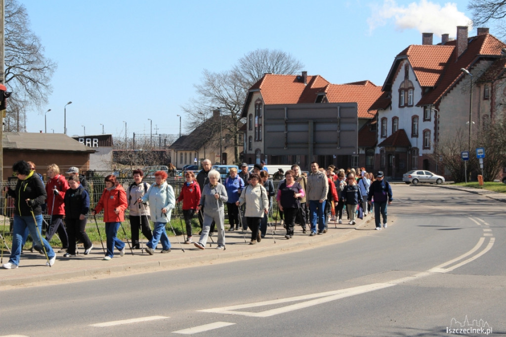 Rajd Leśne Ścieżki 2013 PTTK Wiarusy