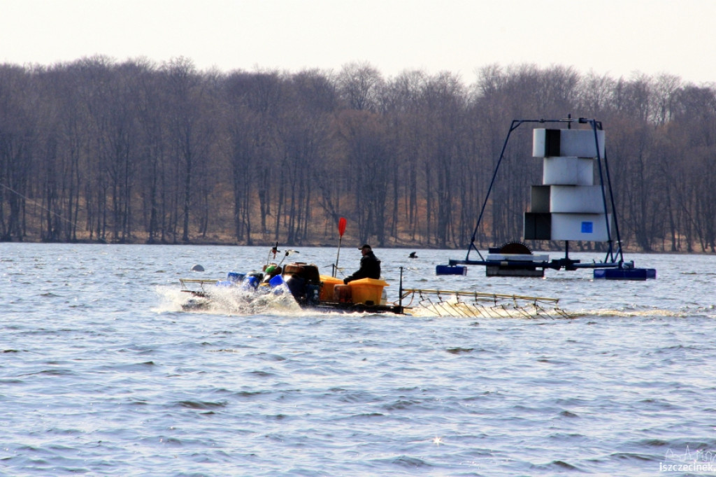 Aeracja mobilna Trzesiecka 2013