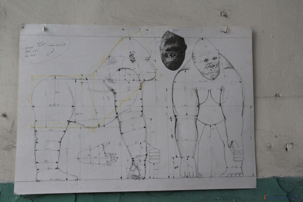 King Kong ze Szczecinka
