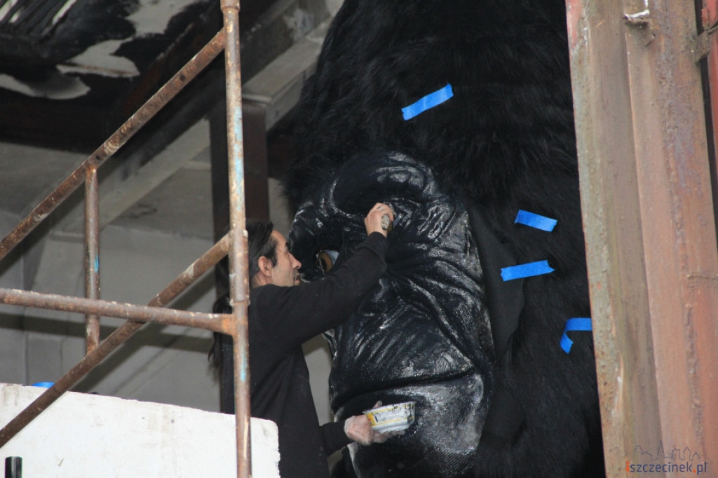 King Kong ze Szczecinka