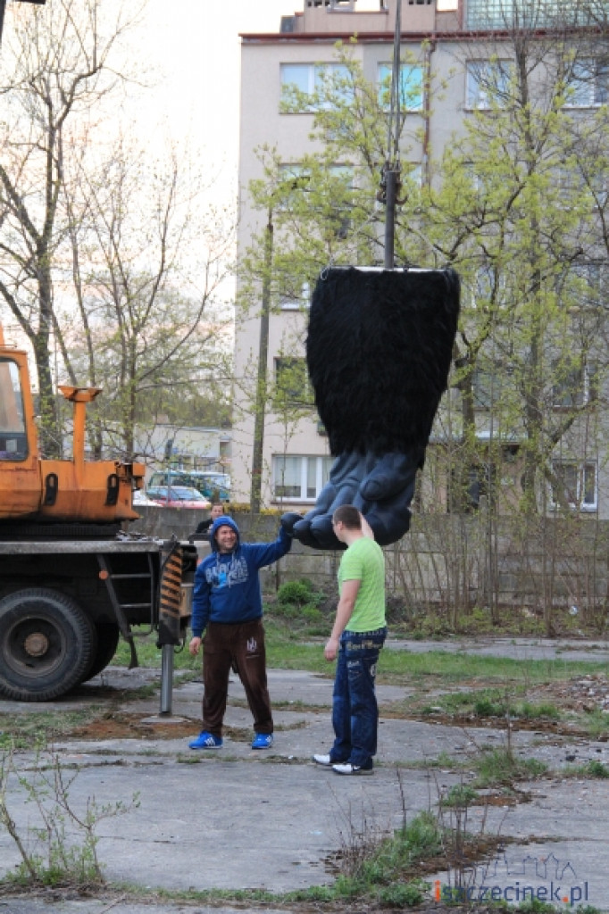 King Kong ze Szczecinka