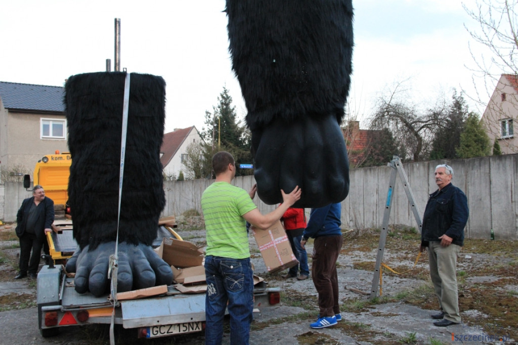 King Kong ze Szczecinka