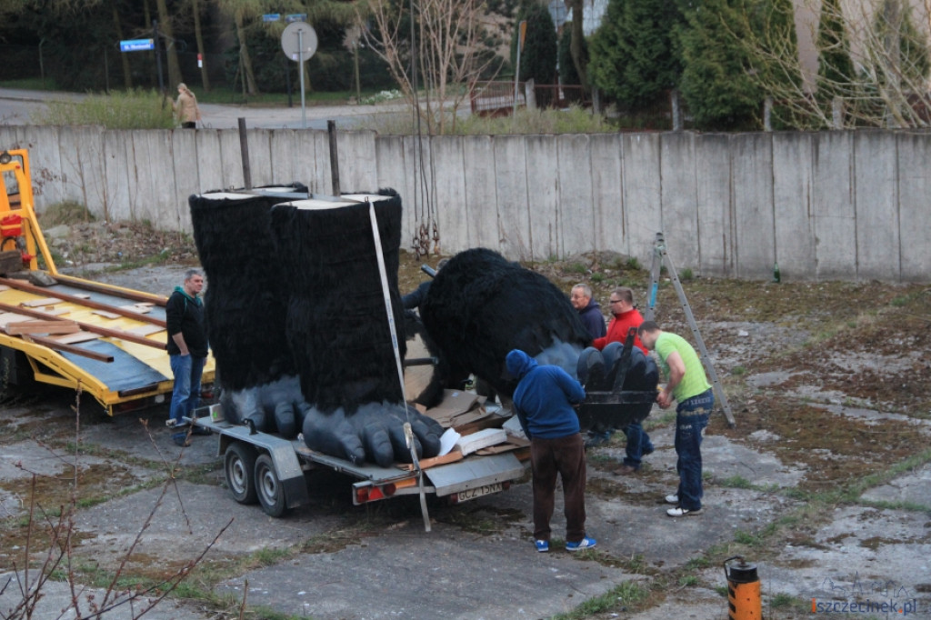 King Kong ze Szczecinka