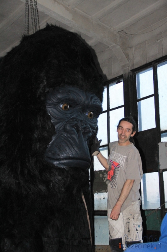 King Kong ze Szczecinka