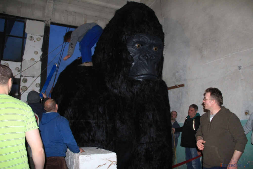King Kong ze Szczecinka