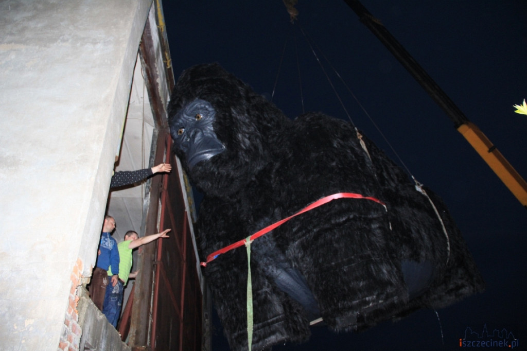 King Kong ze Szczecinka